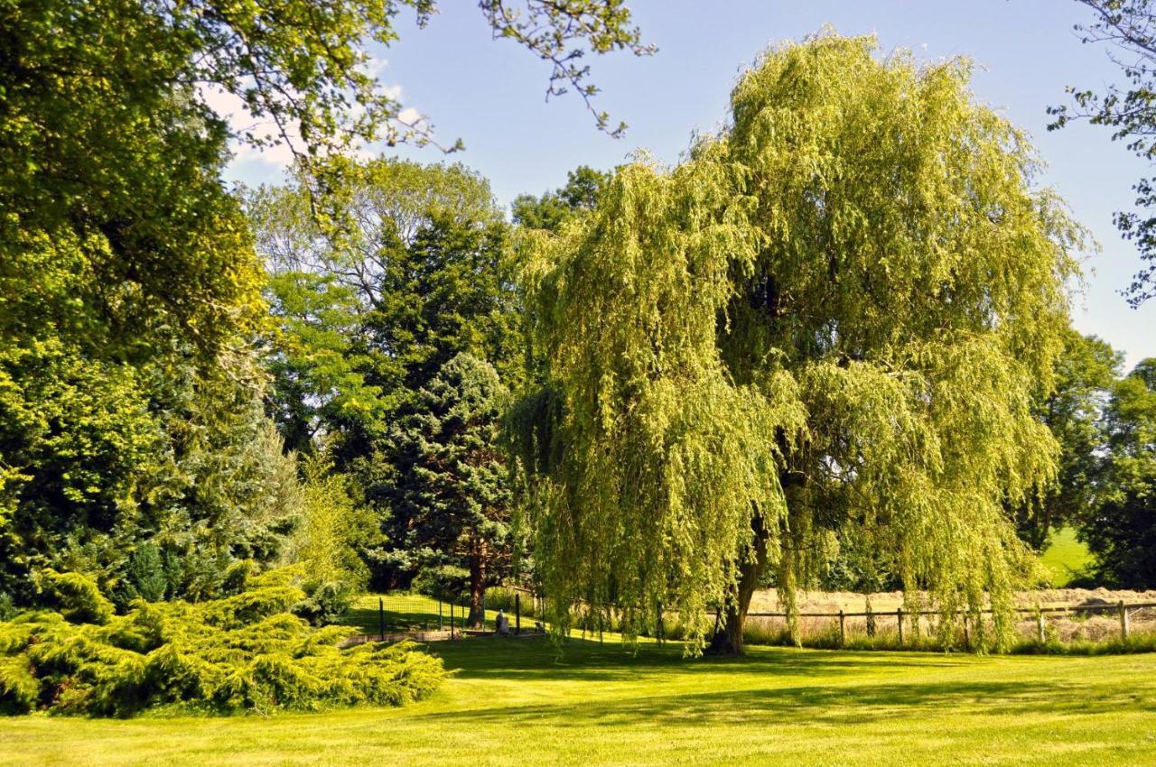 Gite La Normande Etreville Exteriör bild